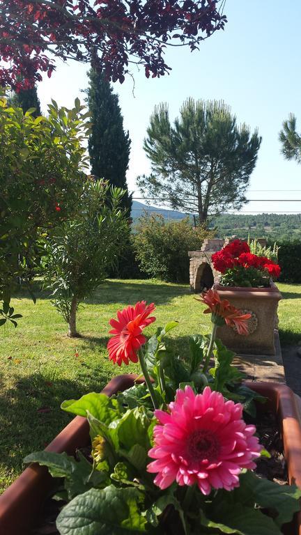 Agriturismo Il Catrino Ponteginori ภายนอก รูปภาพ