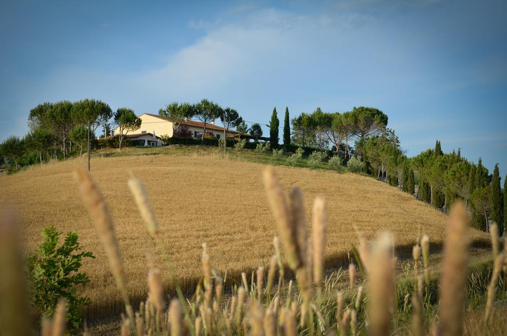 Agriturismo Il Catrino Ponteginori ภายนอก รูปภาพ