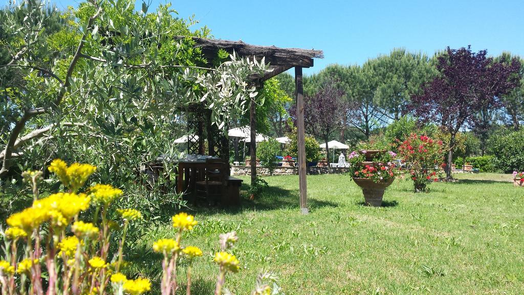 Agriturismo Il Catrino Ponteginori ภายนอก รูปภาพ
