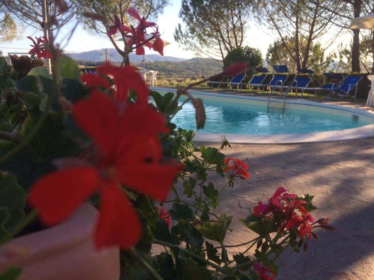 Agriturismo Il Catrino Ponteginori ภายนอก รูปภาพ